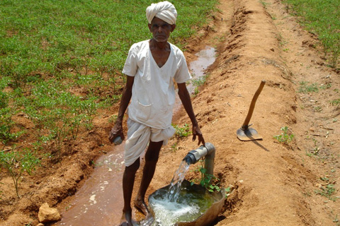 Farmer by tube well