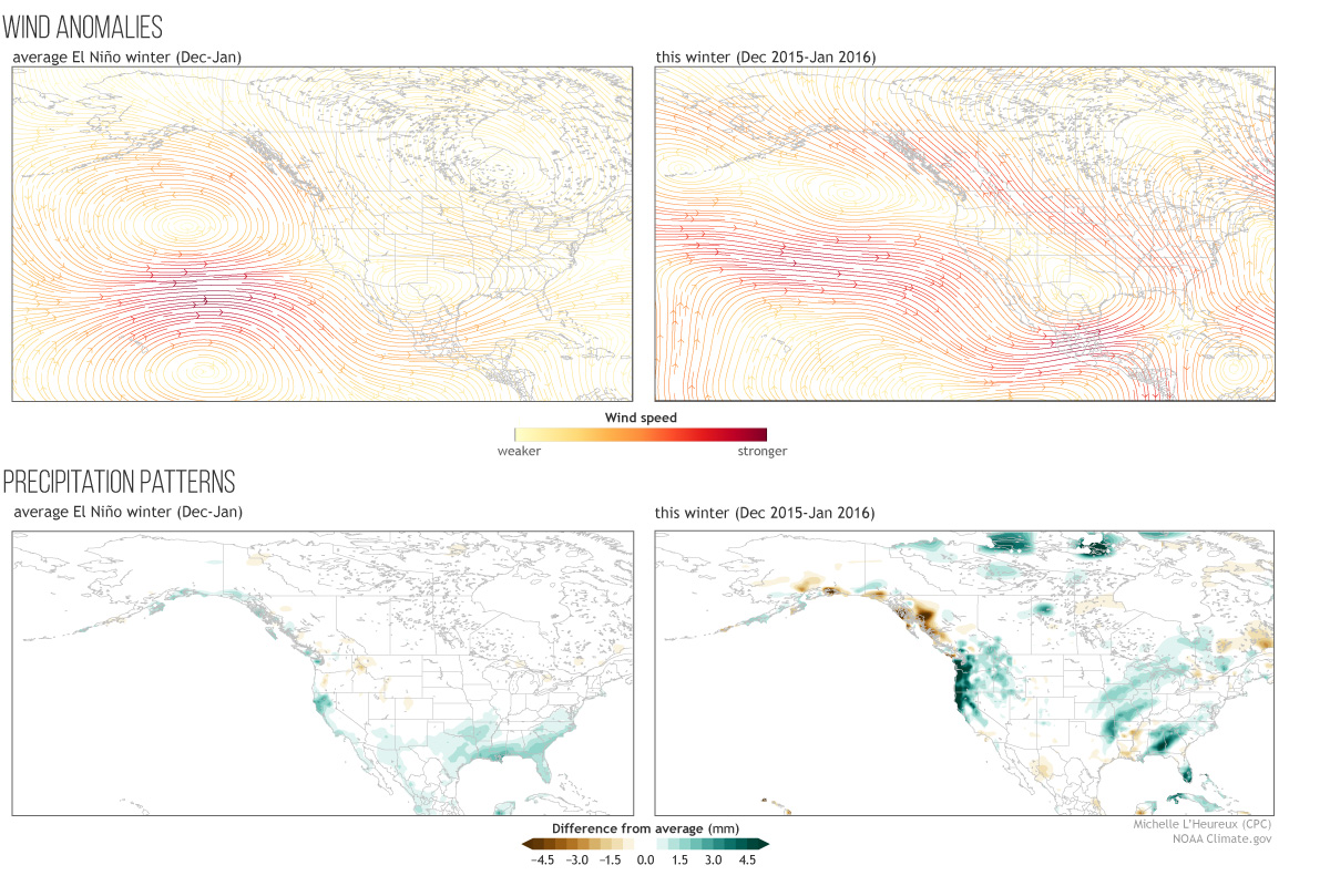 Image of wind anomalies and precipitation patterns.