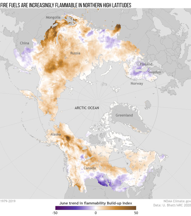 Fire fuels in high northern latitudes are becoming more flammable