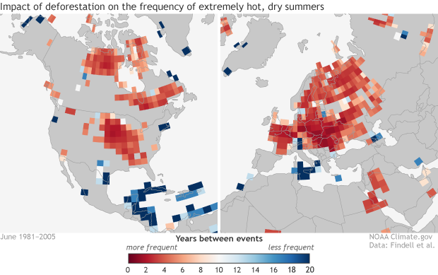 Even with global warming, extremely hot summers would be less frequent if it weren’t for deforestation
