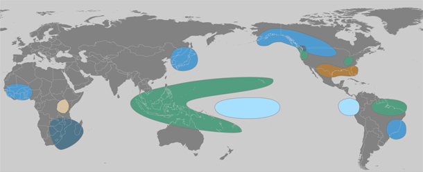 La Nina events
