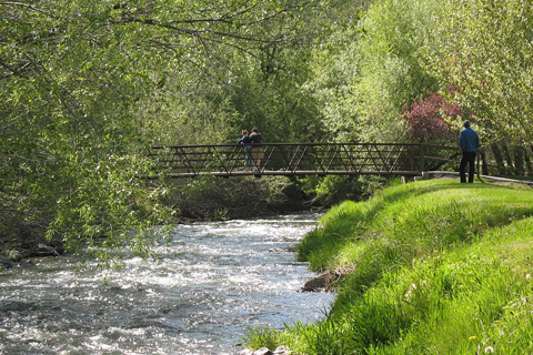 People standing on a pedestrian bridge overlooking a tree-lined creek