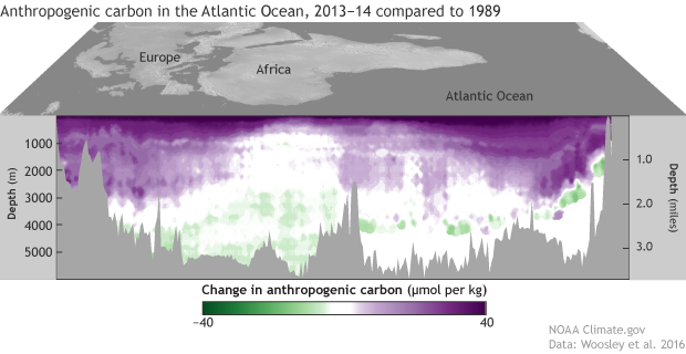 Cruises cut a slice through the Atlantic's carbon pie