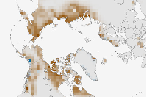 Snow map
