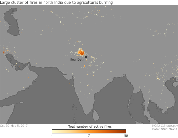 Map showing satellite detection of fires during the week of October 30-November 5, 2017