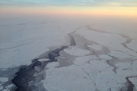 Arctic Ice