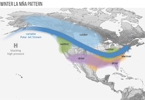 ENSO winter patterns