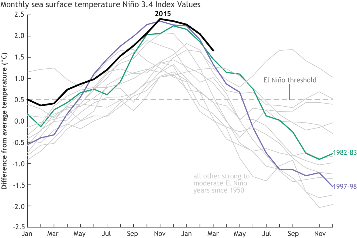 Progression of sea surface temperatures for all moderate to strong El Ninos since 1950. The 2015/16 event is in black and shows that it was warmer than any other previous event in March.