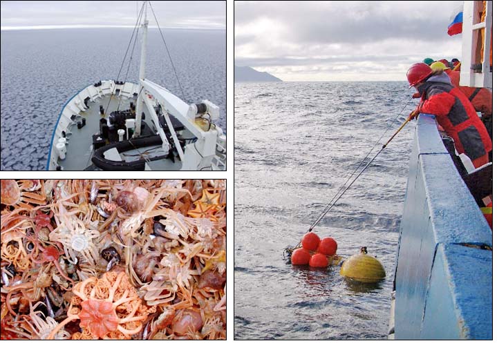 A Look Back at the 2009 RUSALCA Expedition