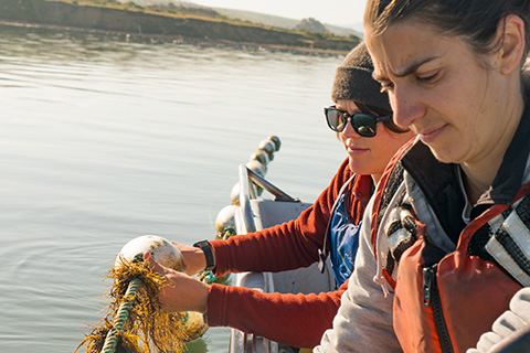 California oyster hatchery