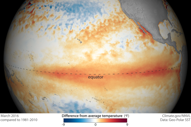 Tropical Pacific sea surface temperature patterns in March 2016 