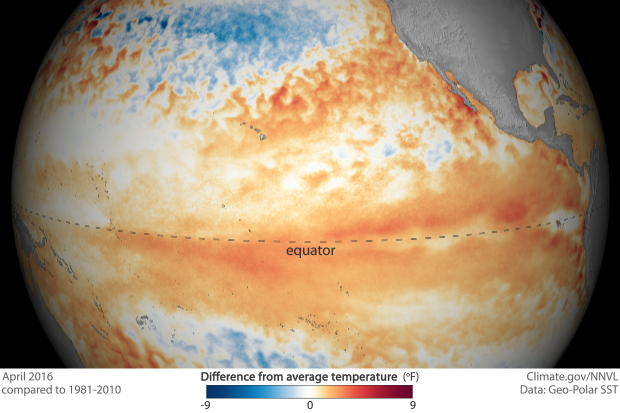 Some cooling of the tropical Pacific in April 2016