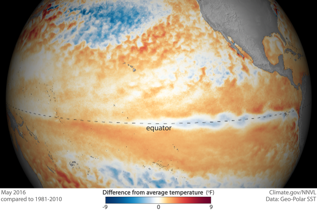 As El Niño weakens, cool surface waters emerge in eastern tropical Pacific
