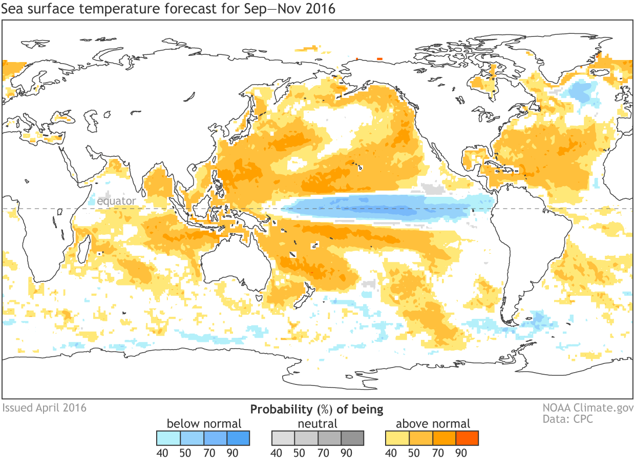Map of sea surface temperature forecast for the September-November period. Blues over the equator indicate a forecast la Nina while the rest of the Pacific, Indian and Atlantic ocean are orange indicating warmer than average temperatures.