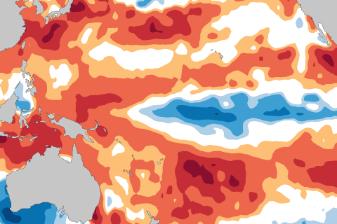 Sea surface temperature anomaly map