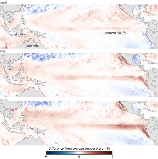 Eastern Pacific temperatures say yes to El Niño, western Pacific undecided