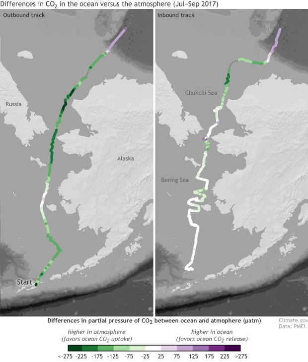 Saildrones monitor plant growth and acidification in remote Arctic waters