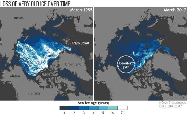2017 Arctic Report Card: Arctic sea ice keeps getting younger and thinner