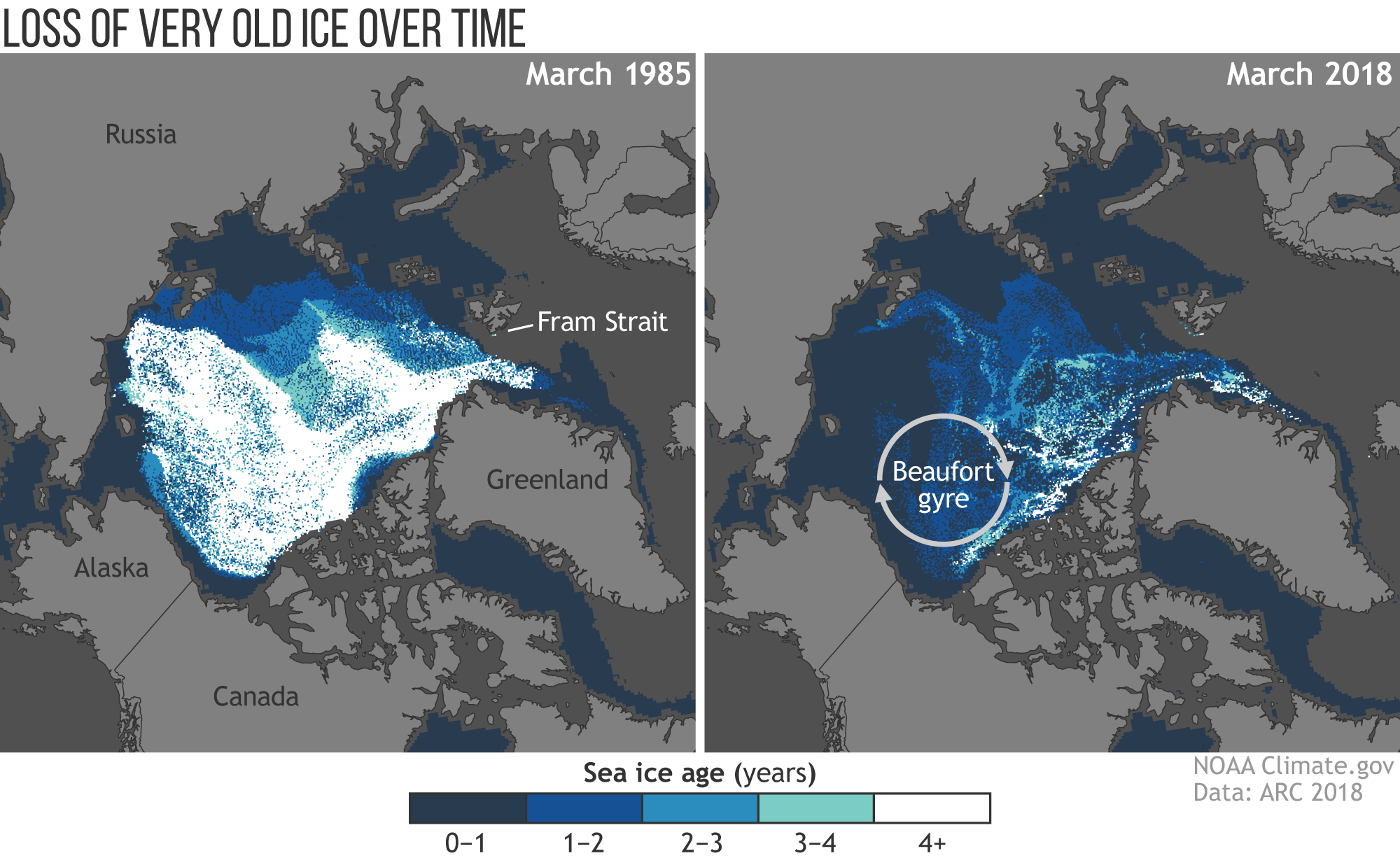 2018 Arctic Report Card: Less than 1 percent of Arctic ice has survived four or more summers