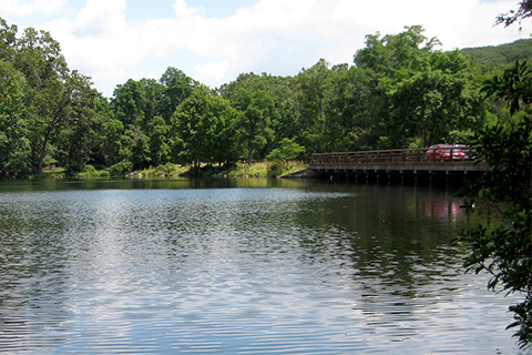 Calm lake water with green trees