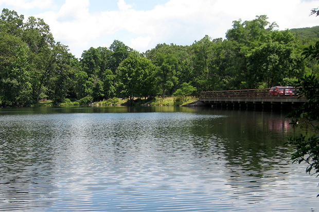 calm lake water, green trees