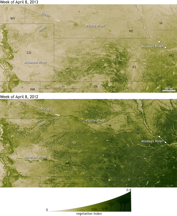 Plants as drought detectors in the U.S. Great Plains