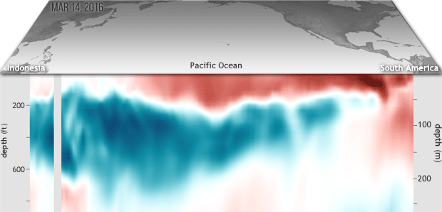 La Niña coming? Deep pool of cool water is making its way across tropical Pacific