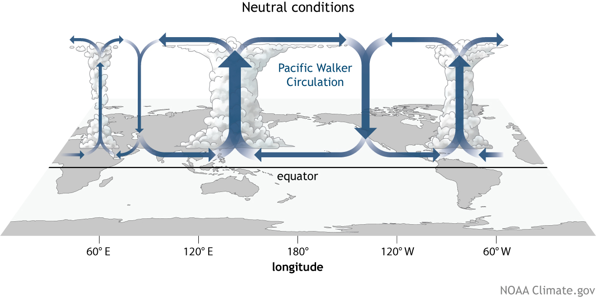Schematic of the main parts of the Walker Circulation in the tropical Pacific
