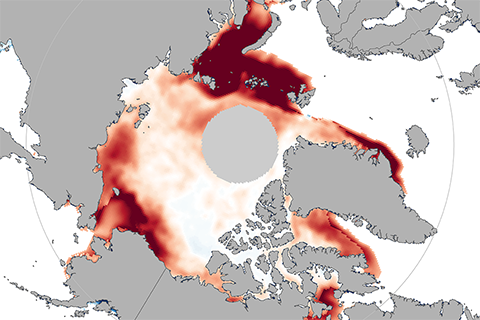 Sea ice concentration anomaly map