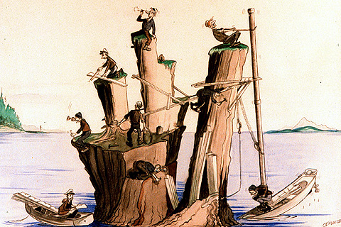 typical tide gauge installation crew