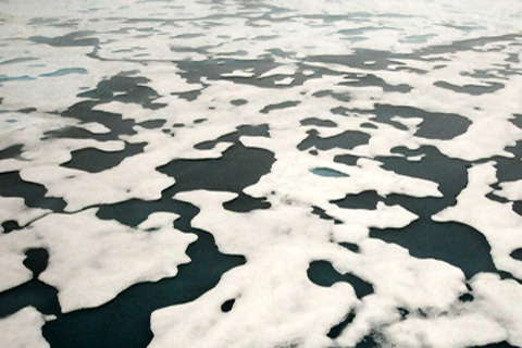 Melt ponds on sea ice