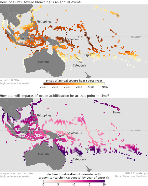 No safe haven for coral from the combined impacts of warming and ocean acidification