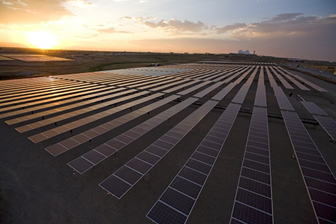 Photo of a solar farm