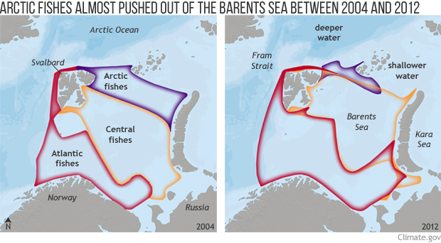 Warming waters shift fish communities northward in the Arctic