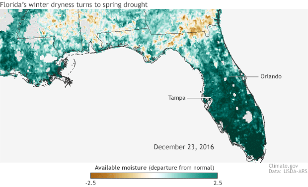 A look at drought in Florida from a surveillance system that doesn’t need rainfall data