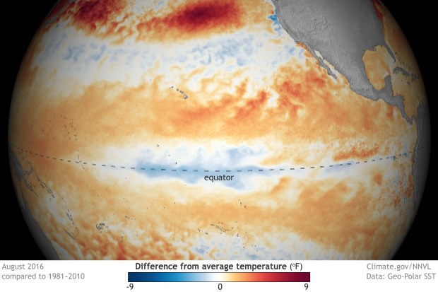 August 2016 tropical Pacific update