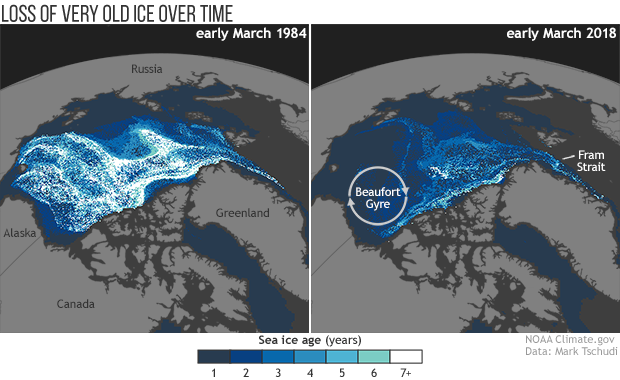 Old sea ice continues disappearing from the Arctic Ocean