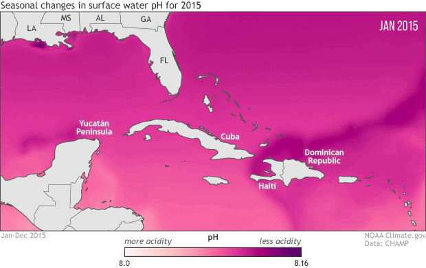 To protect marine life, NOAA monitoring seasonal and yearly changes in surface water pH in Caribbean Sea and Gulf of Mexico