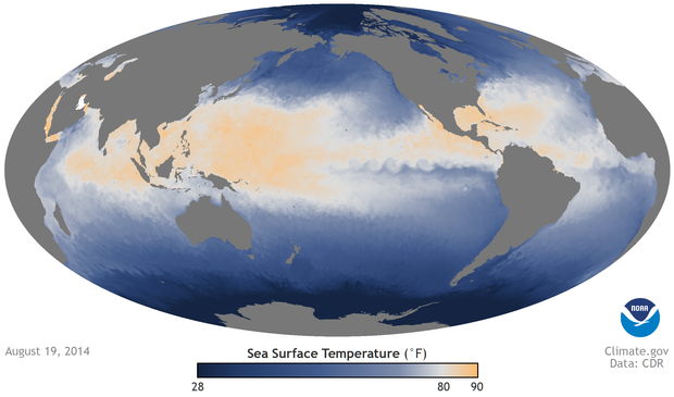 Data Snapshots: Sea Surface Temperature on August 19, 2014