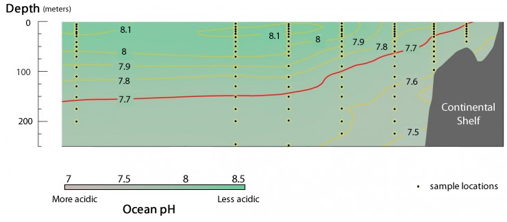 pH transect