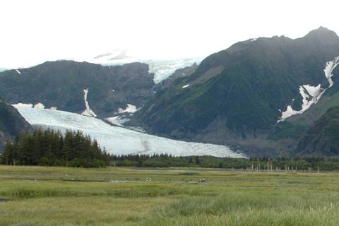Pederson glacier
