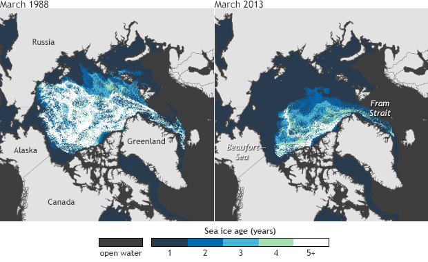 2013 Arctic Report Card: Only 7 percent of the ice cover at the end of winter 2013 was old, thick ice 