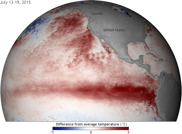 Sea surface temperature anomaly map