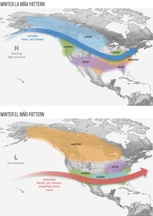 Schematics of typical U.S. jet stream position and climate impacts during La Niña (top) and El Niño (bottom) winterss of