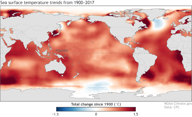 SST change map