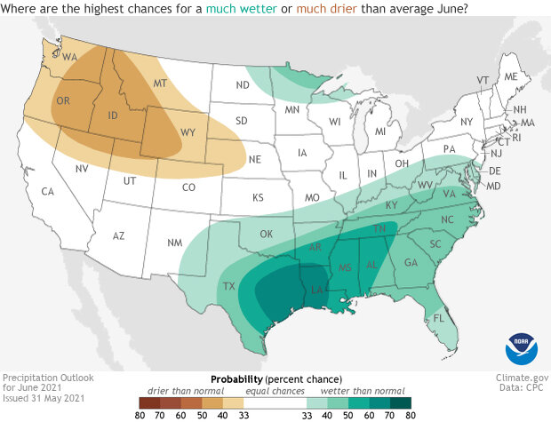 Precip outlook