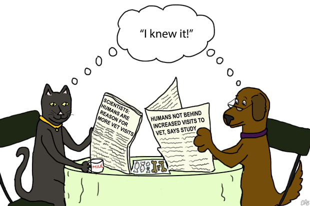 Cats and dogs