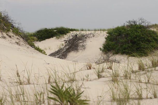 Dunes