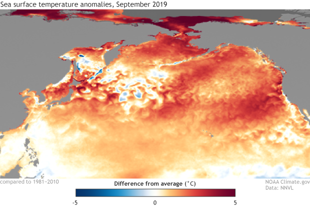 SST map