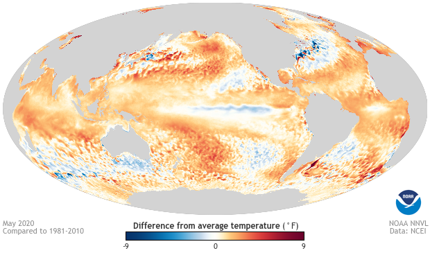 Global temperature anomalies, May 2020